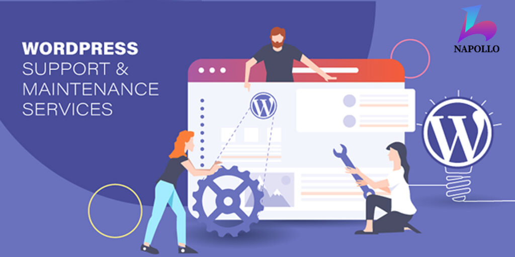 Blog 10 A client discussion with a website maintenance services expert, addressing concerns.