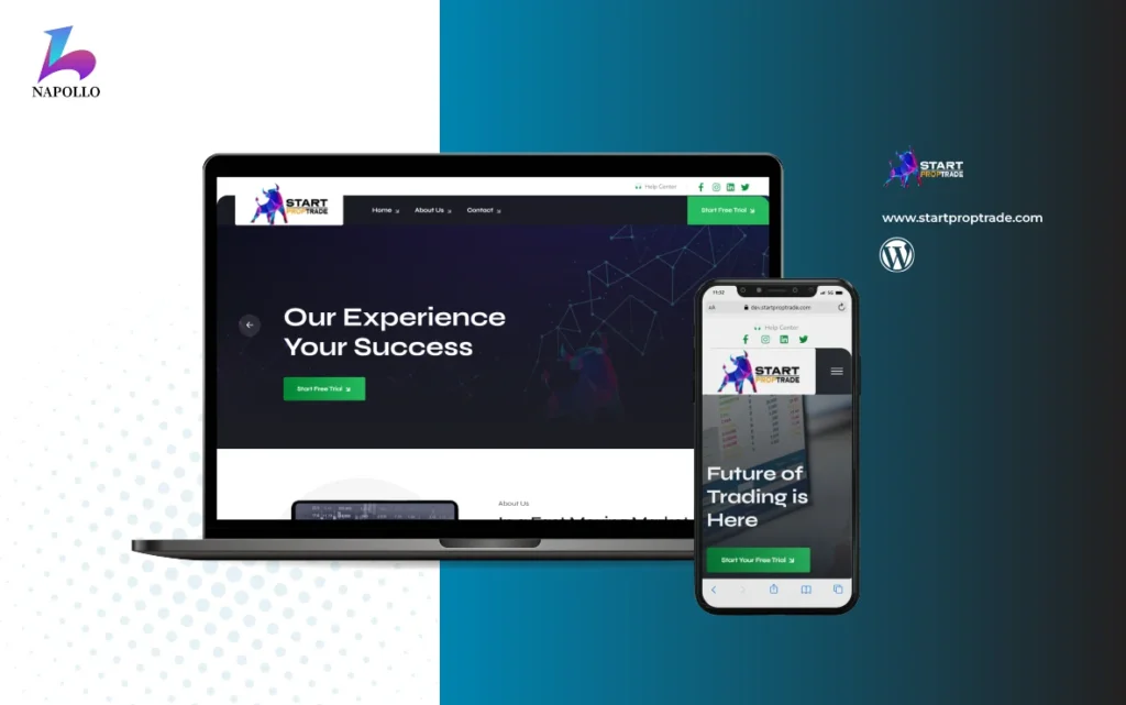 Blog 2 How Napollo.net Helped The Levin Firm Increase Organic